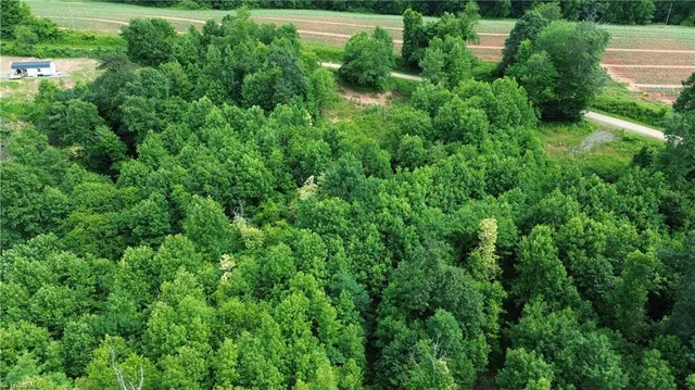 $69,900 | Tbd Tbd Bauguess Mill Road, Traphill, NC 28685