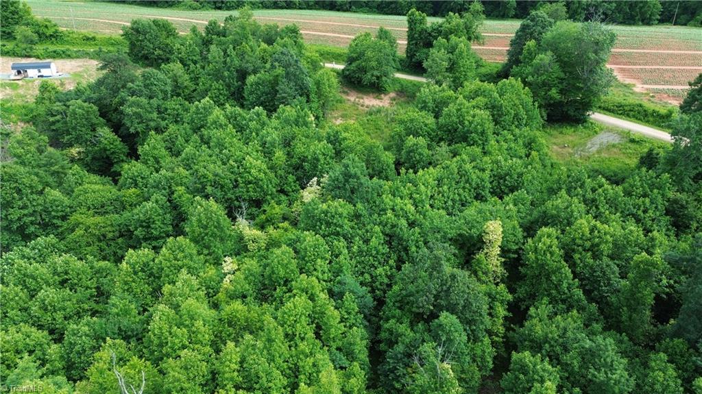 Tbd Tbd Bauguess Mill Road Traphill, NC 28685 - Photo 11 of 15