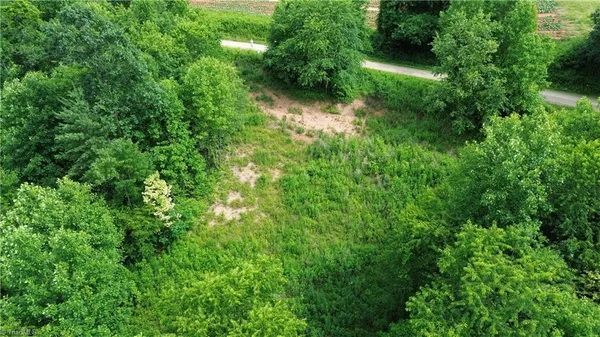 $69,900 | Tbd Tbd Bauguess Mill Road, Traphill, NC 28685