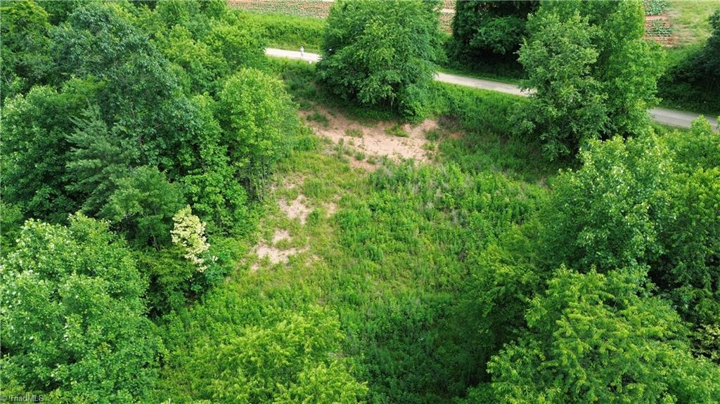 Tbd Tbd Bauguess Mill Road Traphill, NC 28685 - Photo 12 of 15