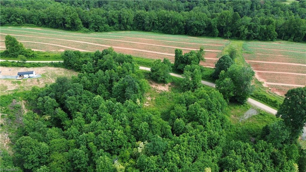 Tbd Tbd Bauguess Mill Road Traphill, NC 28685 - Photo 14 of 15