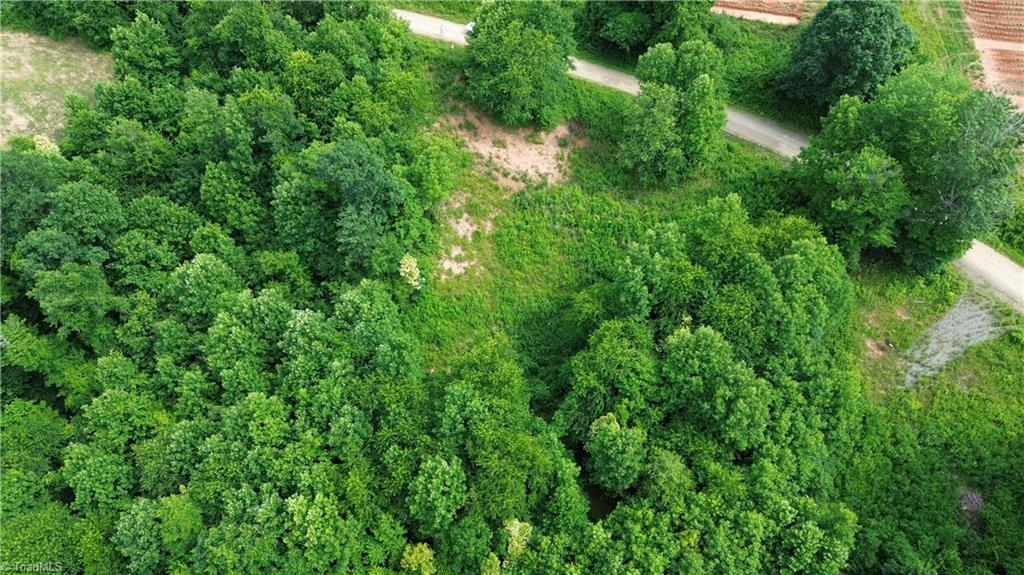 Tbd Tbd Bauguess Mill Road Traphill, NC 28685 - Photo 3 of 15