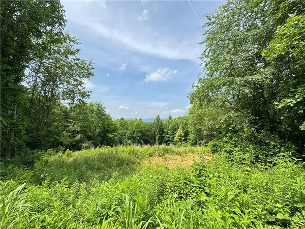 $69,900 | Tbd Tbd Bauguess Mill Road, Traphill, NC 28685