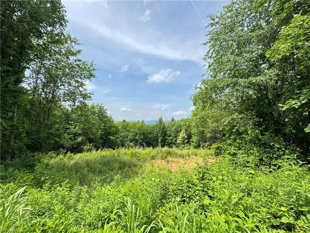 $69,900 | Tbd Tbd Bauguess Mill Road, Traphill, NC 28685