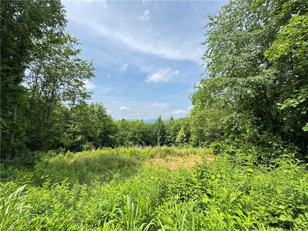 Tbd Tbd Bauguess Mill Road Traphill, NC 28685 - Photo 4 of 15