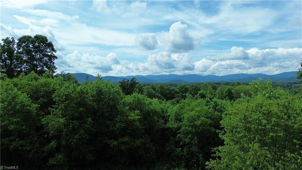 Tbd Tbd Bauguess Mill Road Traphill, NC 28685 - Photo 5 of 15