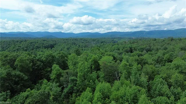 $69,900 | Tbd Tbd Bauguess Mill Road, Traphill, NC 28685