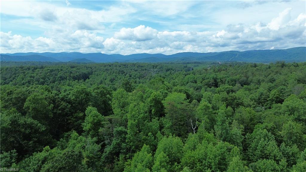 Tbd Tbd Bauguess Mill Road Traphill, NC 28685 - Photo 6 of 15