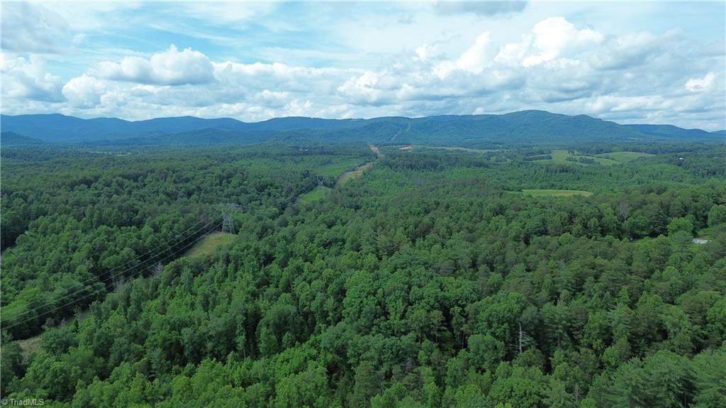 Tbd Tbd Bauguess Mill Road Traphill, NC 28685 - Photo 8 of 15