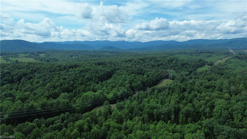 Tbd Tbd Bauguess Mill Road Traphill, NC 28685 - Photo 9 of 15