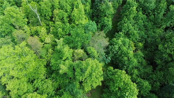 $69,900 | Tbd Tbd Bauguess Mill Road, Traphill, NC 28685