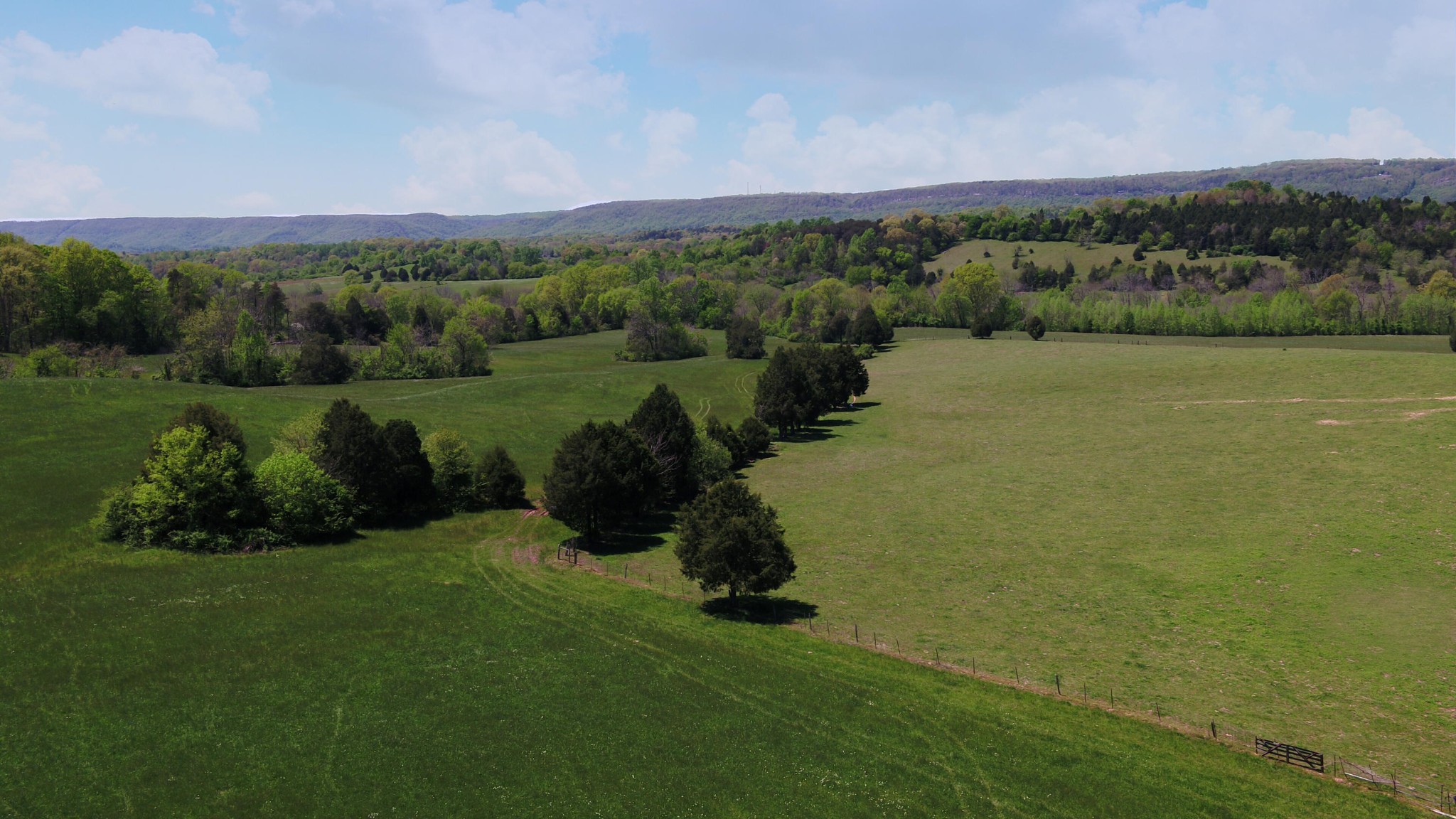 128 Jim Grasson Road Spring City, TN 37381 - Photo 3 of 7 Gallery Image 3