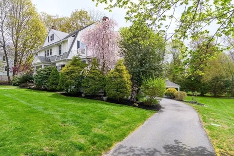a view of a back yard