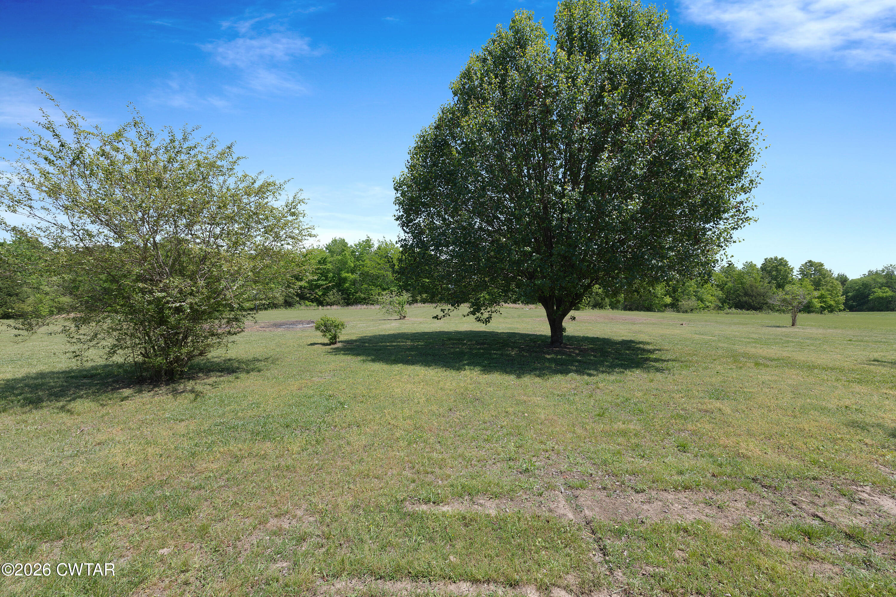 173 Huntersville Denmark Road Denmark, TN 38391 - Photo 23 of 26 Backyard
