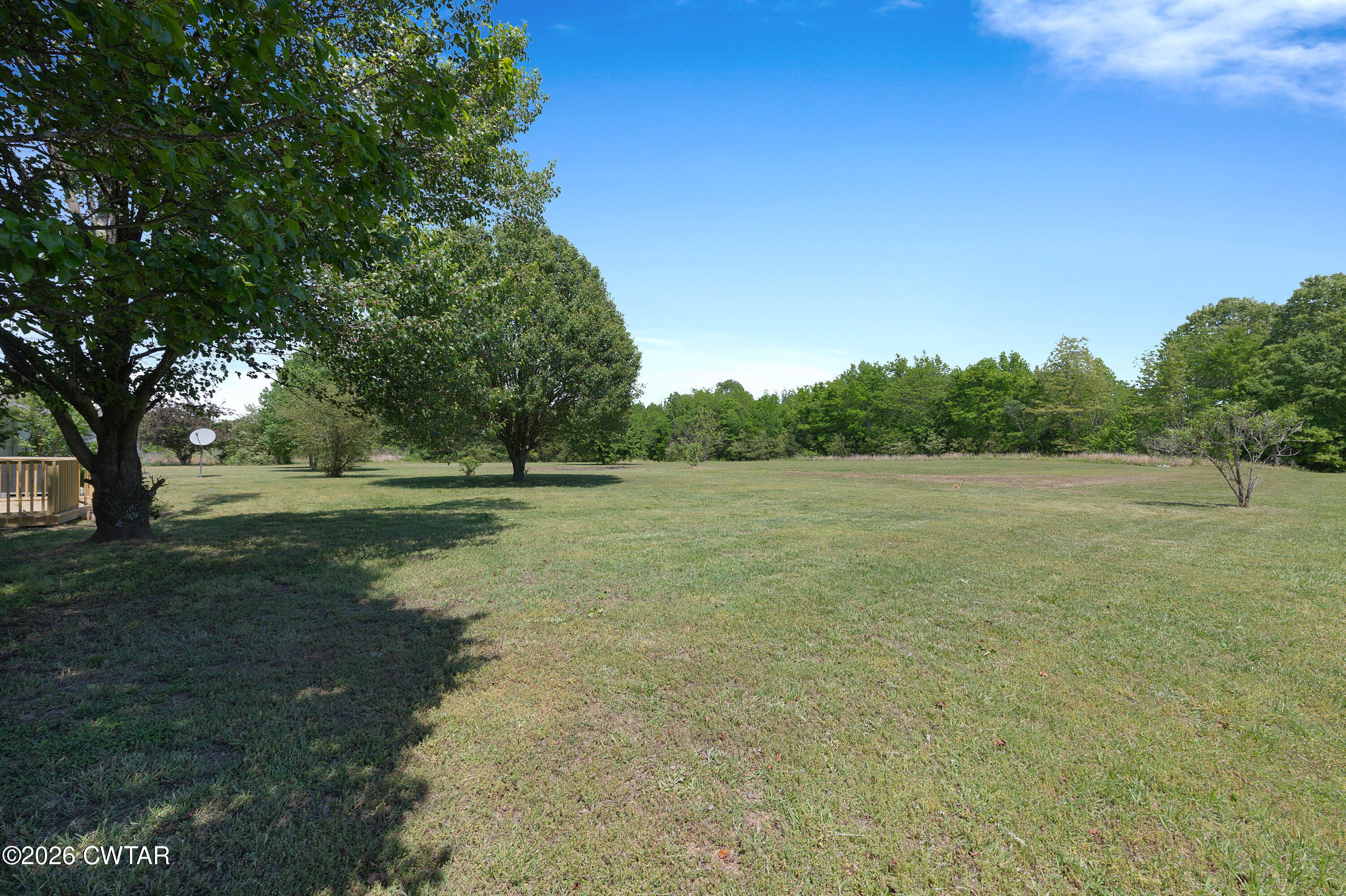 173 Huntersville Denmark Road Denmark, TN 38391 - Photo 23 of 27 Backyard