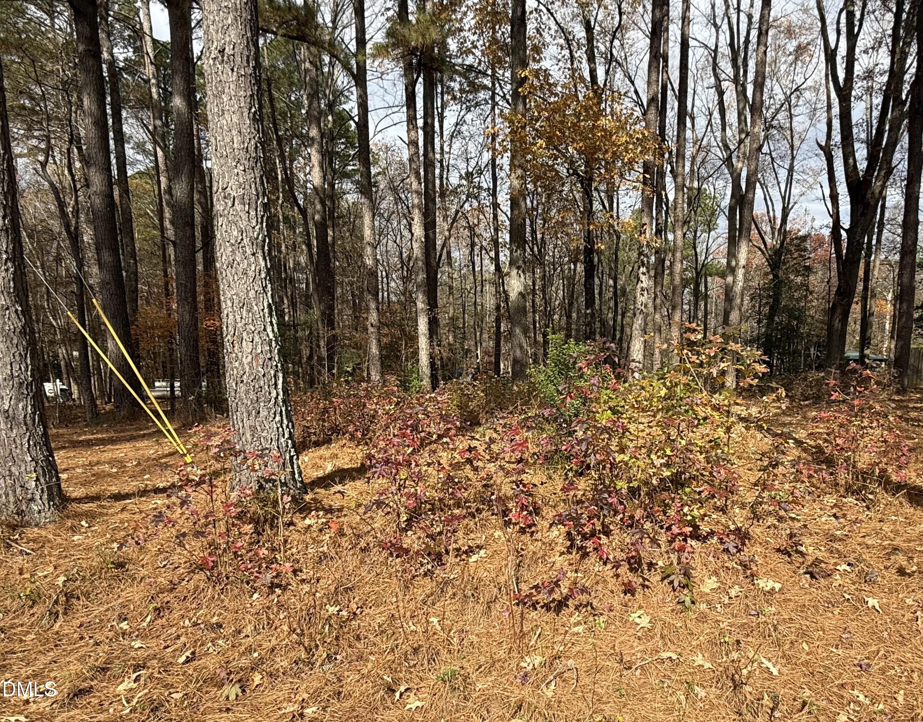 131 Catoose Drive Spring Hope, NC 27882 - Photo 2 of 39 a view of a backyard of the house