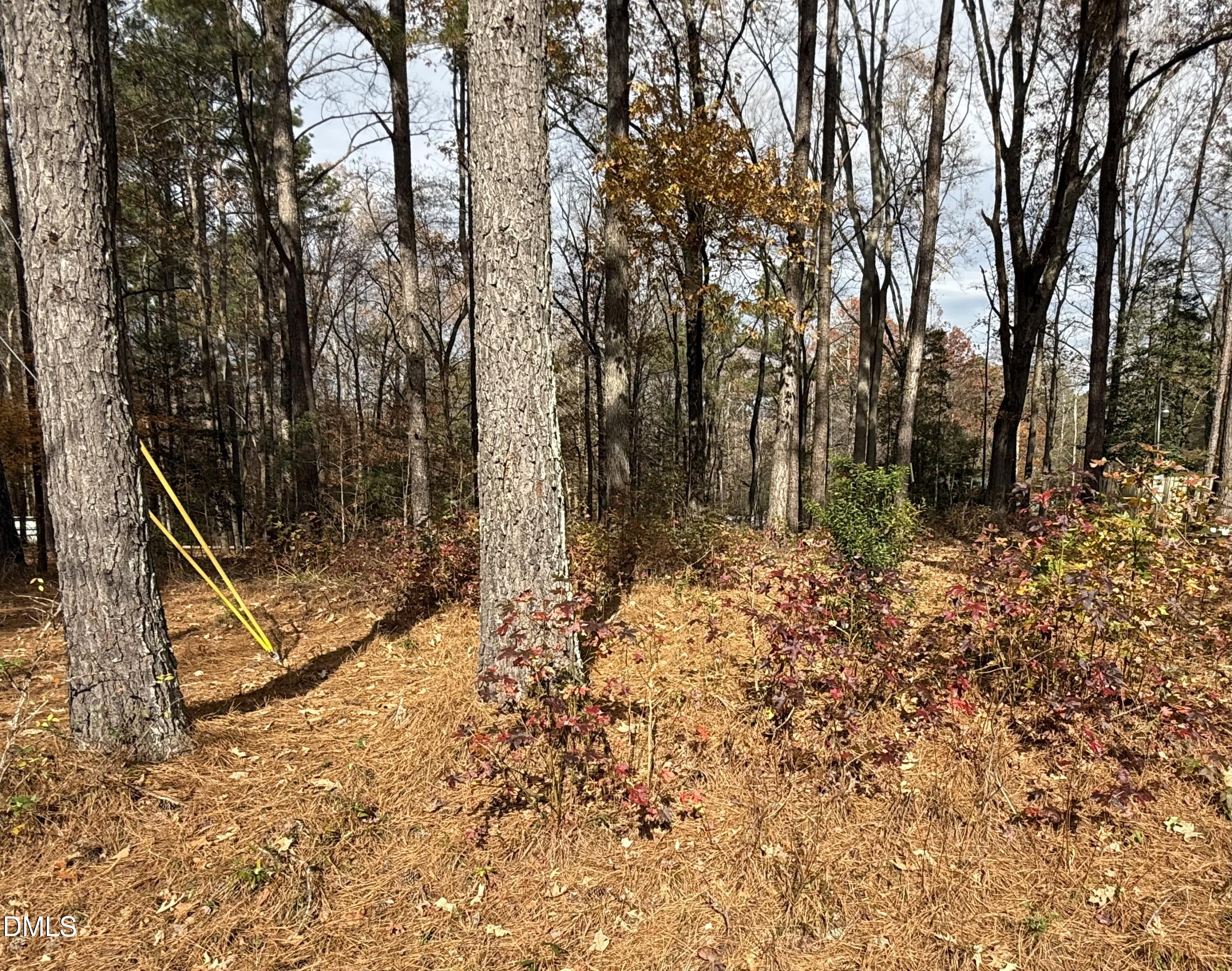 131 Catoose Drive Spring Hope, NC 27882 - Photo 3 of 39 a view of a backyard with plants