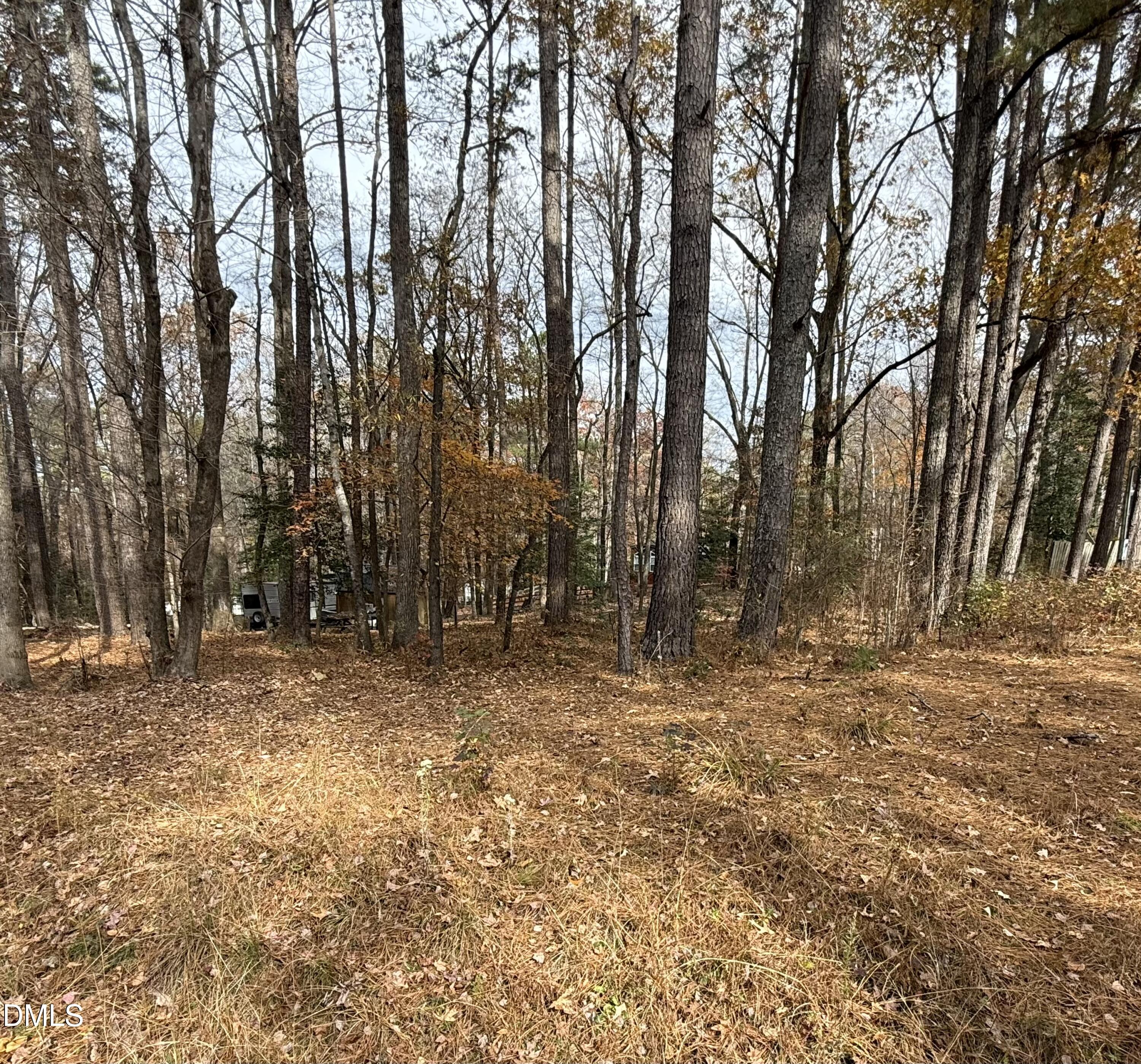 131 Catoose Drive Spring Hope, NC 27882 - Photo 5 of 39 a view of empty room with trees