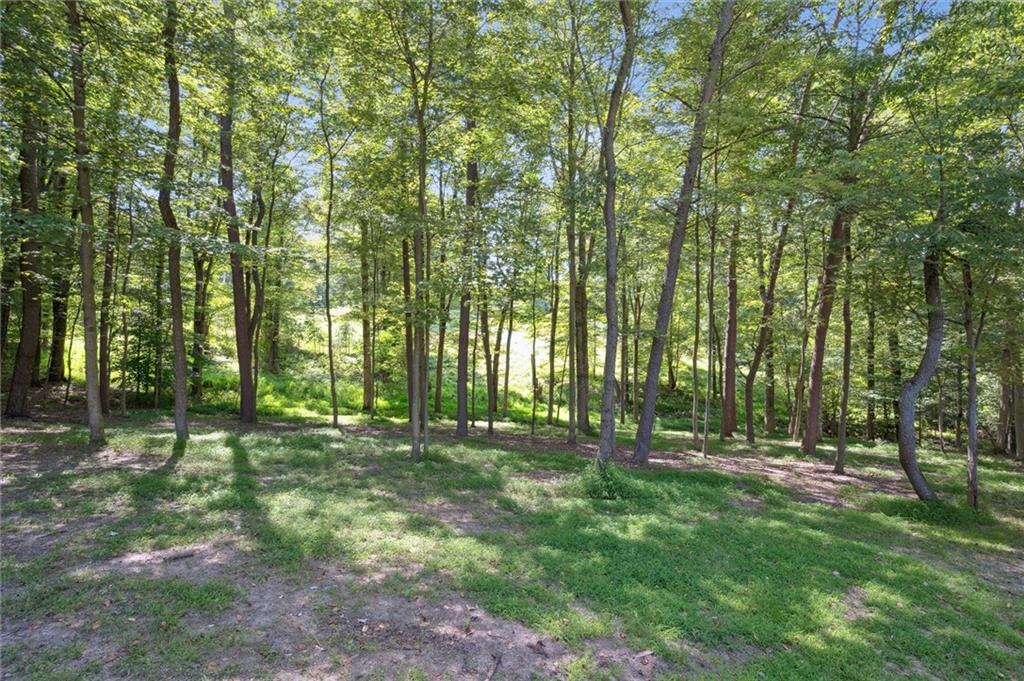 2521 Hopkins Church Road Sewickley, PA 15143 - Photo 33 of 34 a view of outdoor space with trees all around