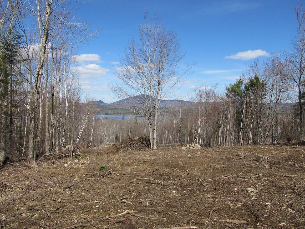 Lot 11 Lake View Road Weld, ME 04285 - Photo 12 of 29 IMG_1062