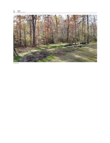 a view of a yard with trees in the background