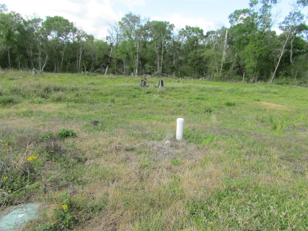 7072 County Road 3 Sweeny, TX 77480 - Photo 22 of 23 a view of a green field with trees