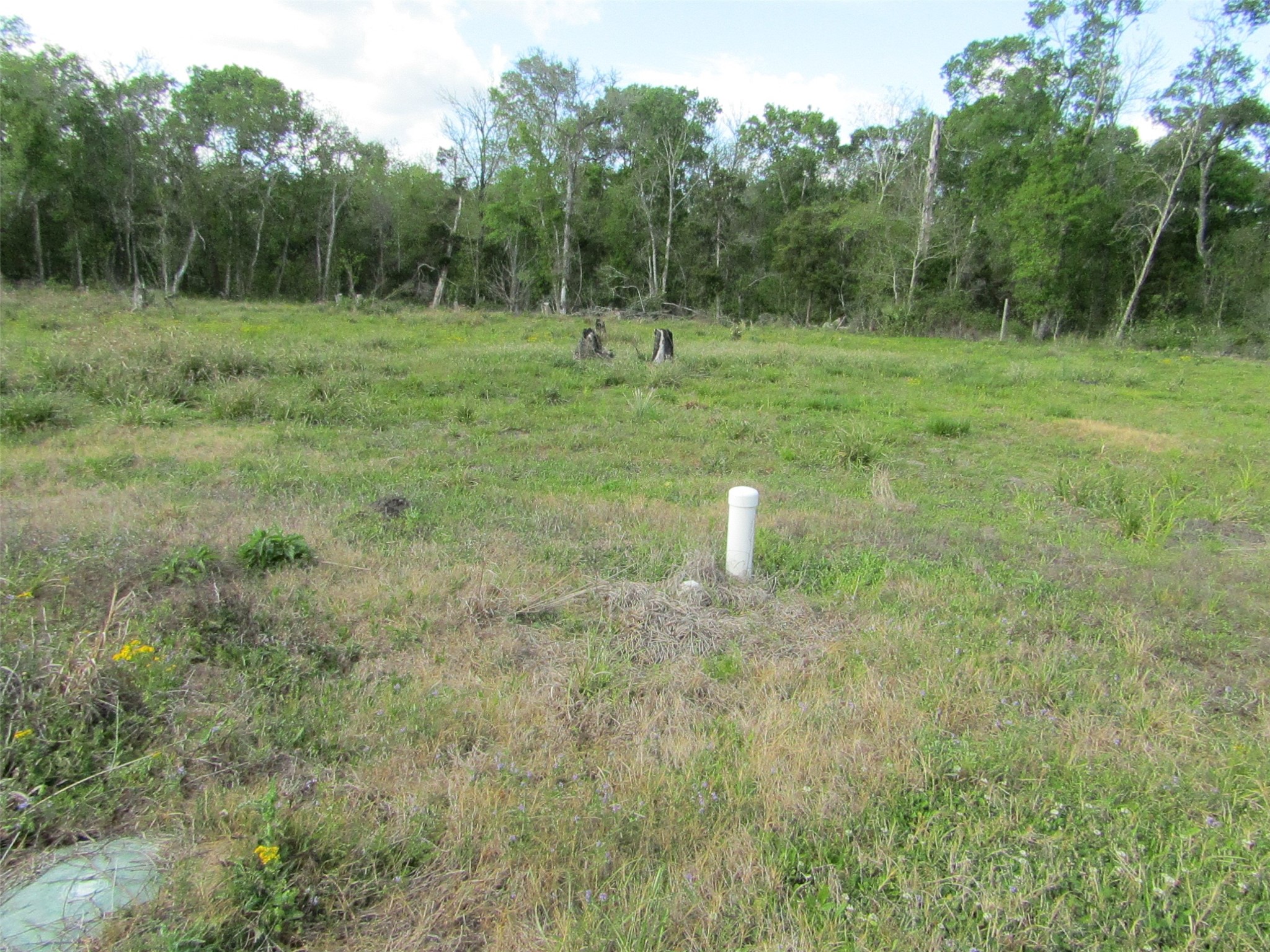 7072 County Road 3 Sweeny, TX 77480 - Photo 22 of 23