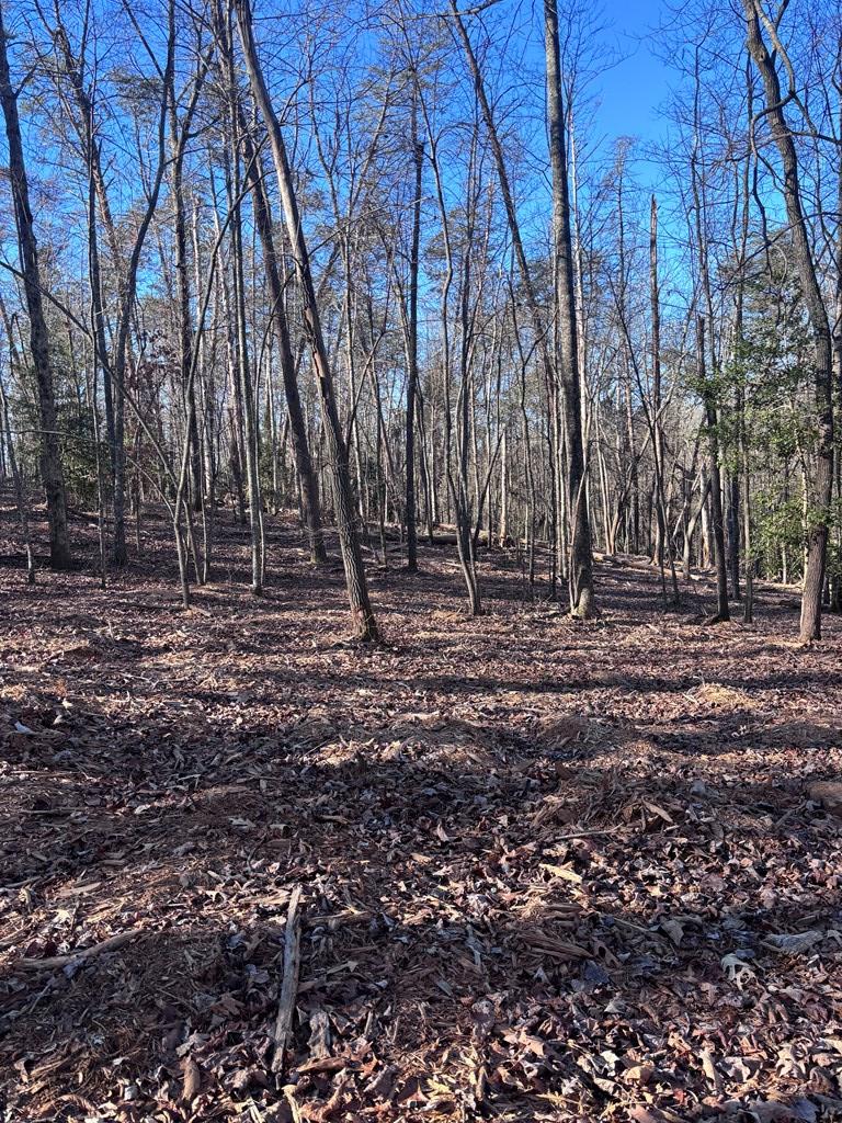 Lot 74 Bice Lane Blue Ridge, GA 30513 - Photo 1 of 15 Main View