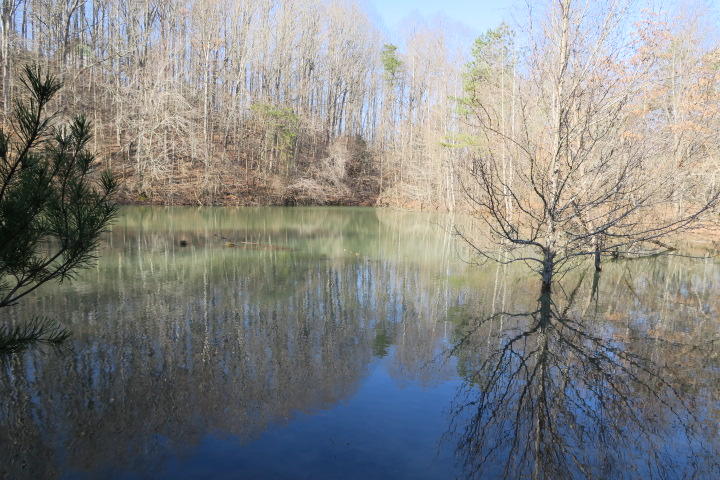 3726 Freels Road Friendsville, TN 37737 - Photo 1 of 26 IMG_0922