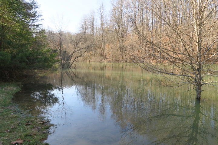 3726 Freels Road Friendsville, TN 37737 - Photo 2 of 26 IMG_0920