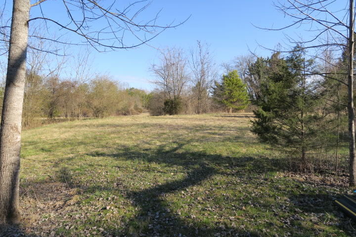 3726 Freels Road Friendsville, TN 37737 - Photo 11 of 26 IMG_0912