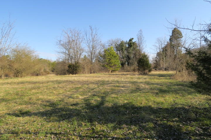 3726 Freels Road Friendsville, TN 37737 - Photo 12 of 26 IMG_0913