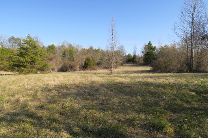 3726 Freels Road Friendsville, TN 37737 - Photo 13 of 26 IMG_0915