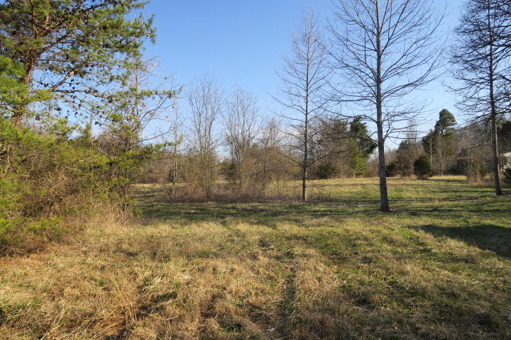 3726 Freels Road Friendsville, TN 37737 - Photo 15 of 26 IMG_0910
