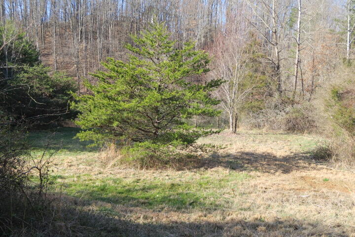 3726 Freels Road Friendsville, TN 37737 - Photo 16 of 26 IMG_0925