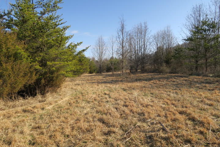 3726 Freels Road Friendsville, TN 37737 - Photo 17 of 26 IMG_0929