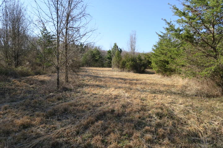 3726 Freels Road Friendsville, TN 37737 - Photo 18 of 26 IMG_0932