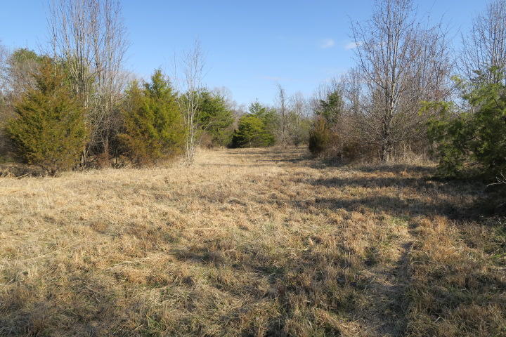 3726 Freels Road Friendsville, TN 37737 - Photo 19 of 26 IMG_0933