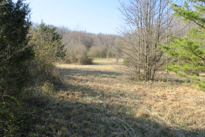 3726 Freels Road Friendsville, TN 37737 - Photo 20 of 26 IMG_0935