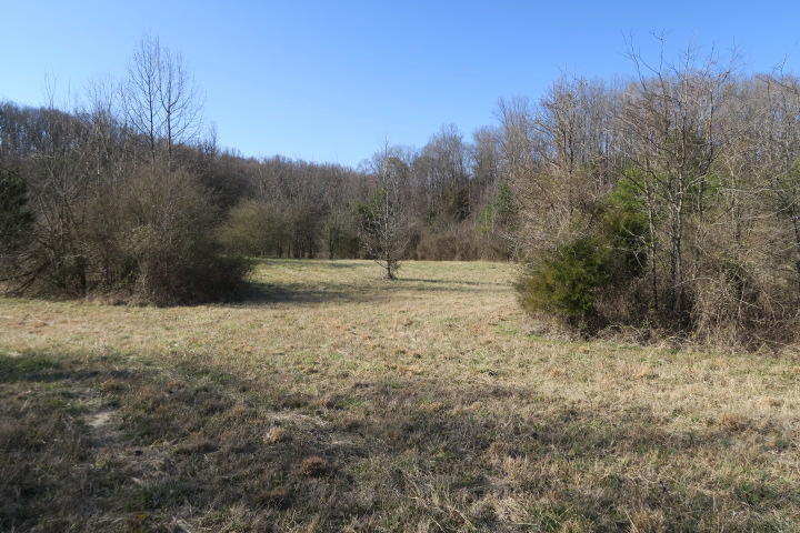 3726 Freels Road Friendsville, TN 37737 - Photo 21 of 26 IMG_0939