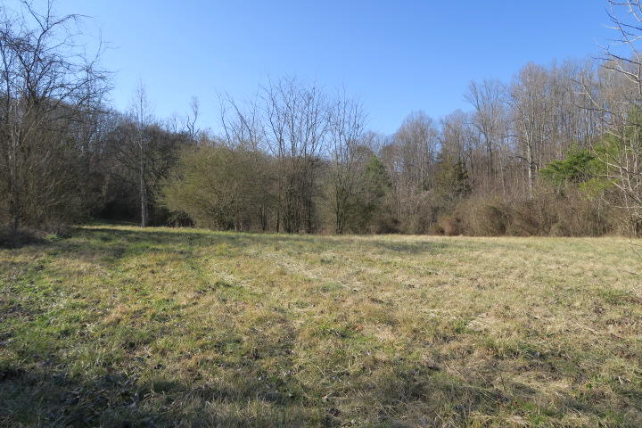 3726 Freels Road Friendsville, TN 37737 - Photo 22 of 26 IMG_0940