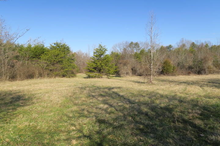 3726 Freels Road Friendsville, TN 37737 - Photo 23 of 26 IMG_0941
