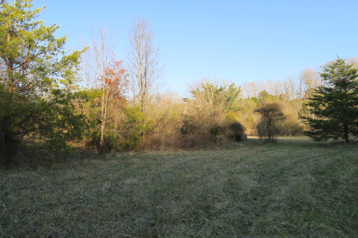 3726 Freels Road Friendsville, TN 37737 - Photo 26 of 26 IMG_0825