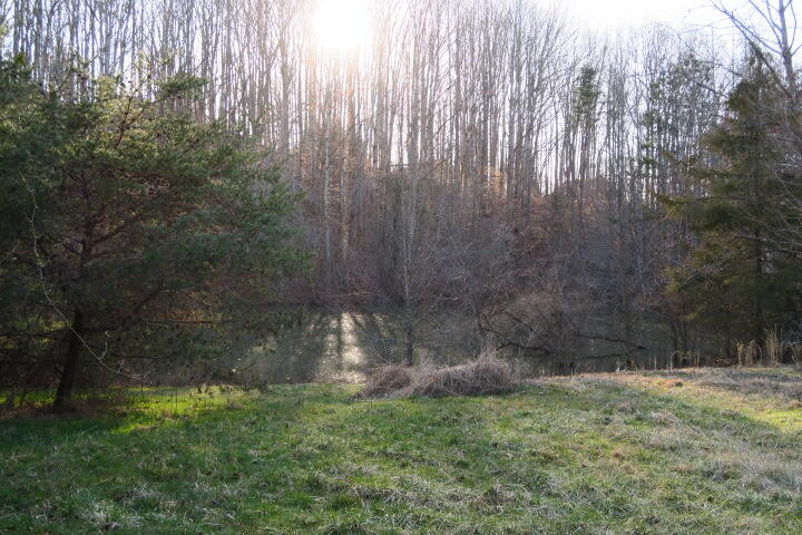 3726 Freels Road Friendsville, TN 37737 - Photo 4 of 26 IMG_0827