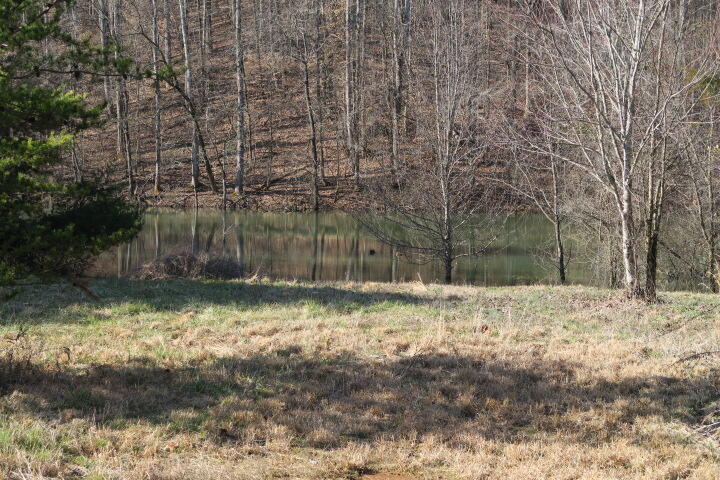 3726 Freels Road Friendsville, TN 37737 - Photo 5 of 26 IMG_0923