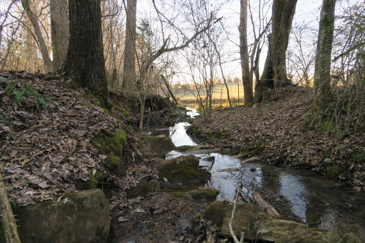 3726 Freels Road Friendsville, TN 37737 - Photo 6 of 26 IMG_0850