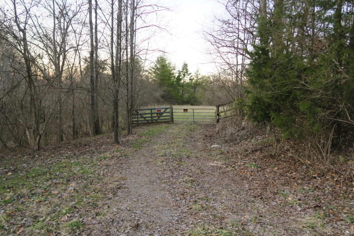 3726 Freels Road Friendsville, TN 37737 - Photo 8 of 26 IMG_0906