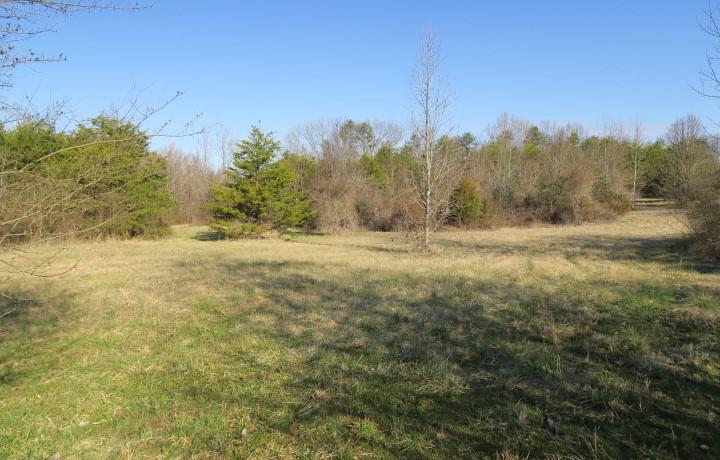 3726 Freels Road Friendsville, TN 37737 - Photo 9 of 26 IMG_0914