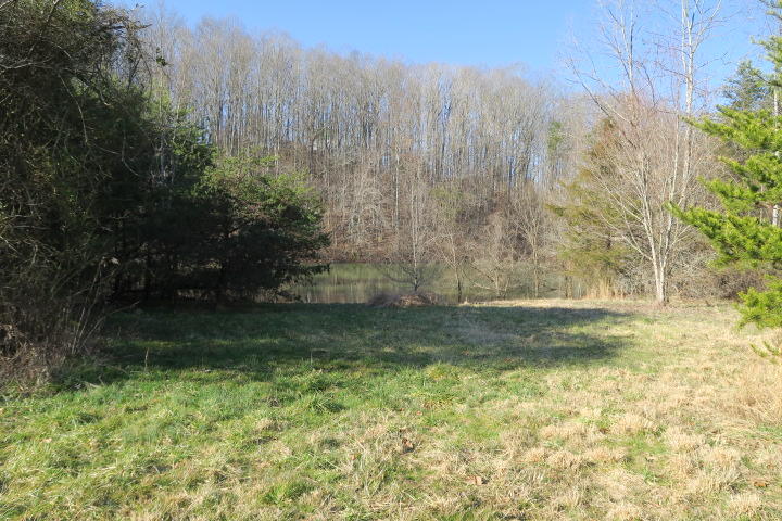 3726 Freels Road Friendsville, TN 37737 - Photo 10 of 26 IMG_0918