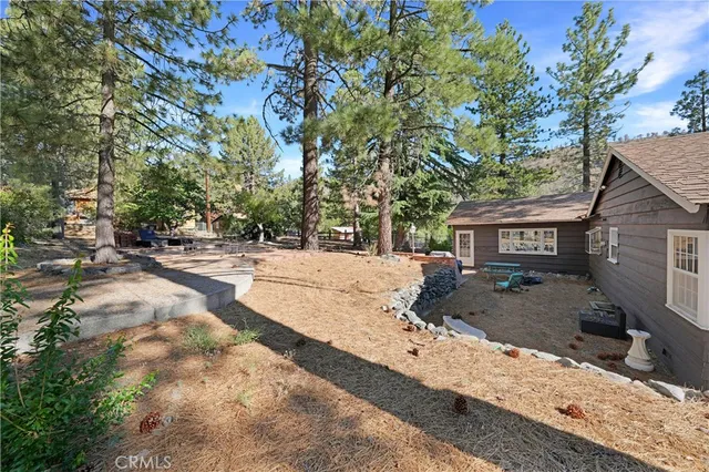 a view of a tree in a yard